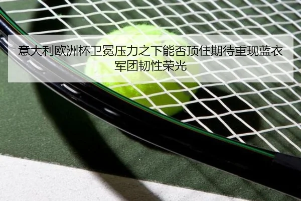 意大利欧洲杯卫冕压力之下能否顶住期待重现蓝衣军团韧性荣光 | kaiyun